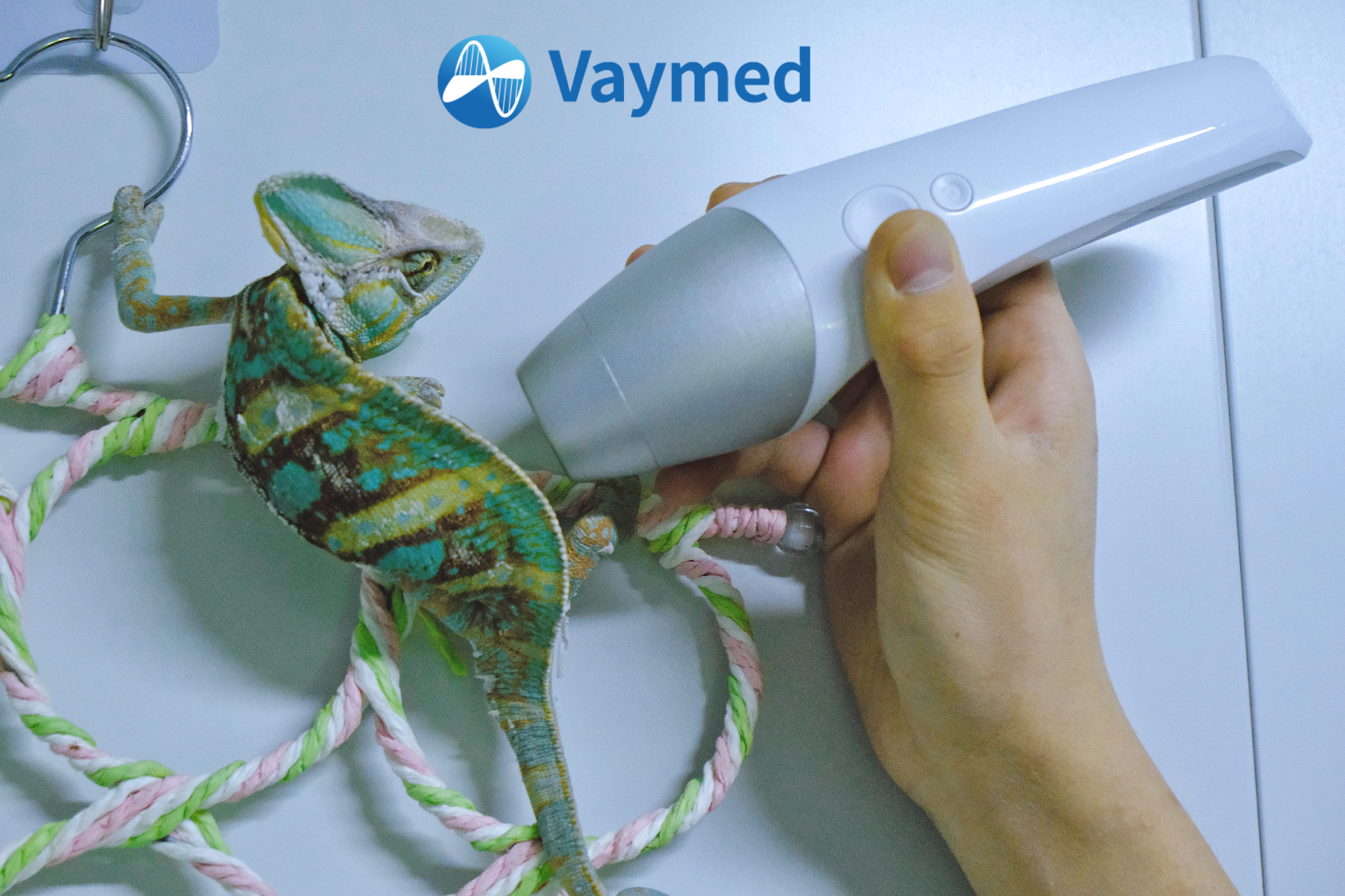 Class 4 Laser Therapy - Everything You Need to Know