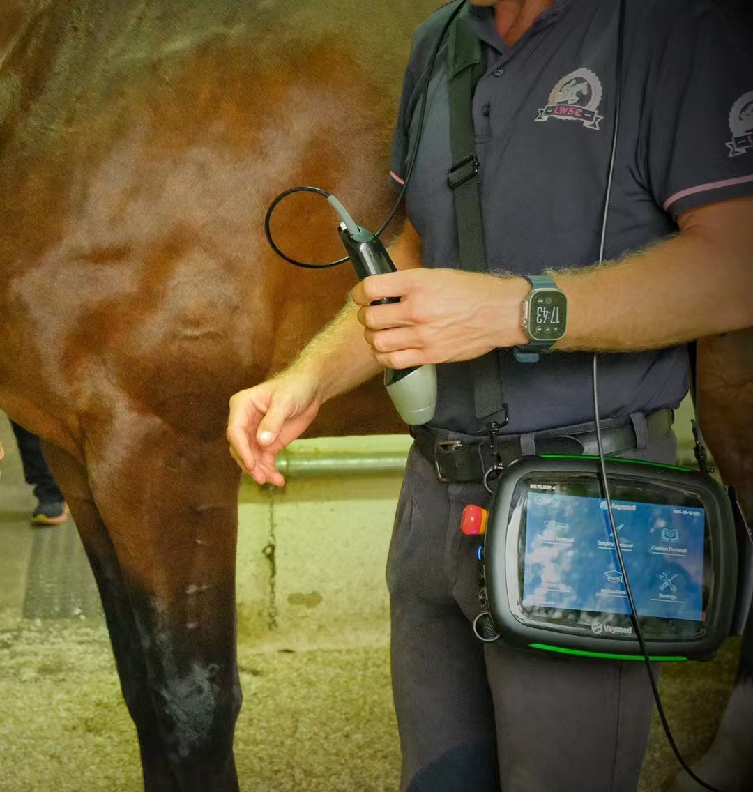 Biological Mechanisms and Clinical Applications of Equine Laser Therapy