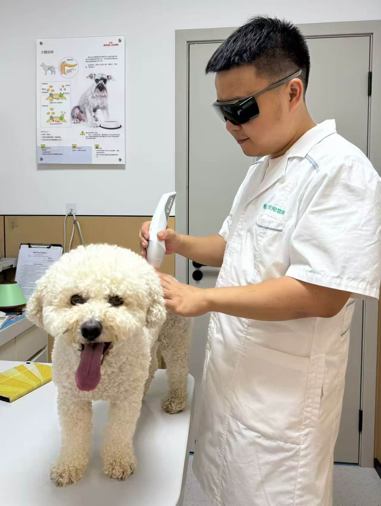 What is class 4 laser therapy good for?